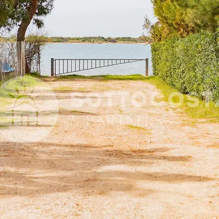 Purple - * Porto Cesareo