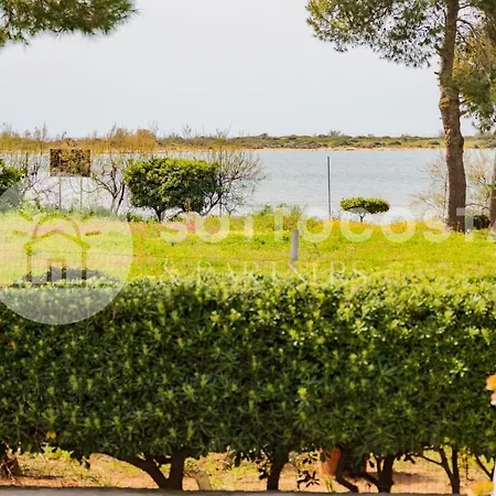 Purple - * Porto Cesareo